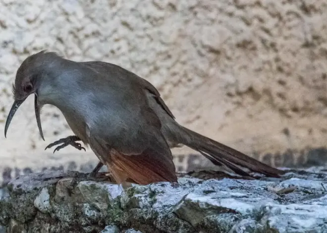 11 fotostop langs Utahs Scenic Byway 12