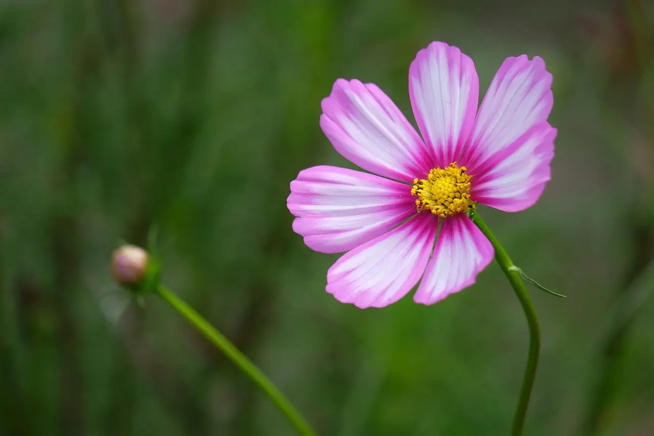 11 tips til sikker brug af offentlige Wi‑Fi‑netværk på rejsen