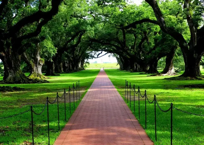 13 stop langs Great River Road i Louisiana