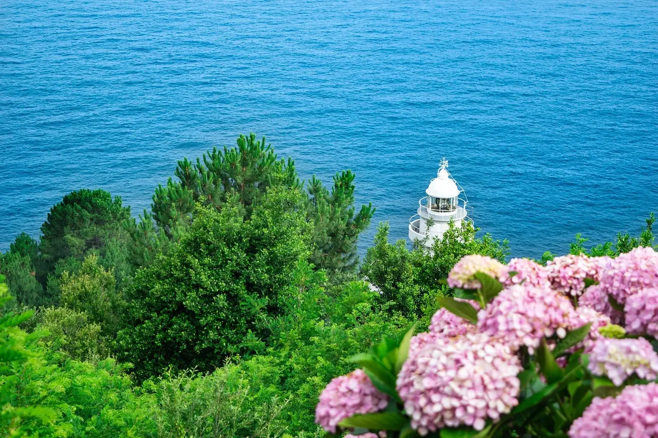 Kan du opleve Garden Route uden at leje bil?