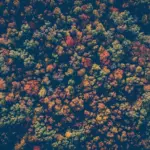 Må man flyve med drone ved Iguazú-vandfaldene?