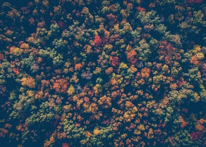 Må man flyve med drone ved Iguazú-vandfaldene?