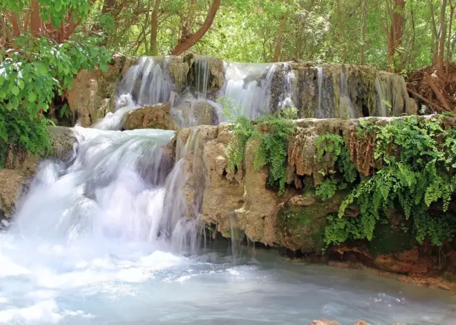 Sådan besøger du Havasu Falls: tilladelse og rute