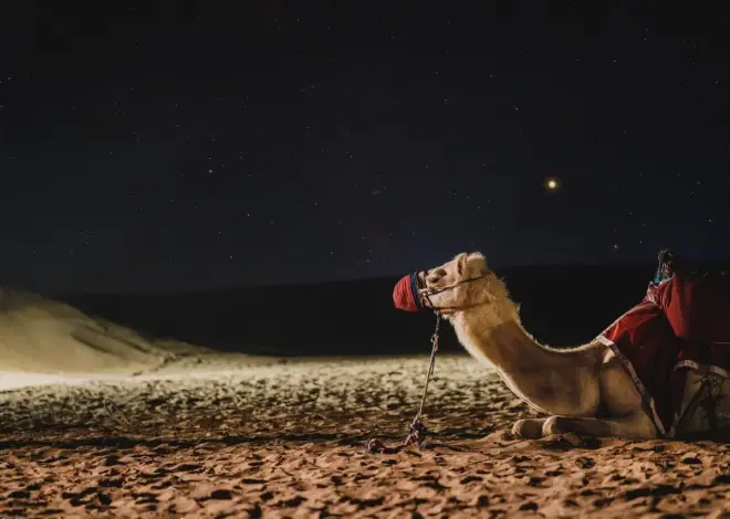 Sådan køber du et Nol-kort til Dubais metro