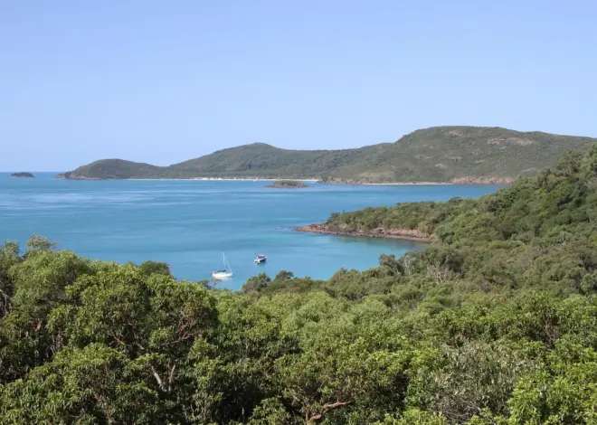 Sådan kommer du til Whitehaven Beach med offentlig transport