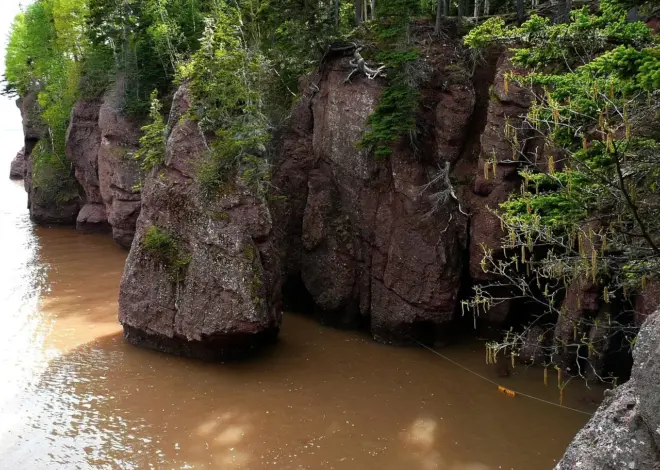 Sådan planlægger du efter tidevandet ved Hopewell Rocks