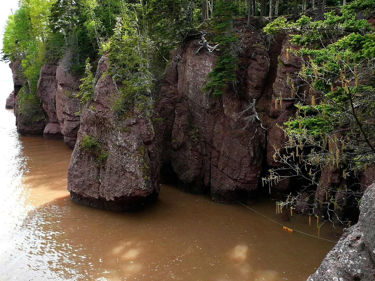 Sådan planlægger du efter tidevandet ved Hopewell Rocks