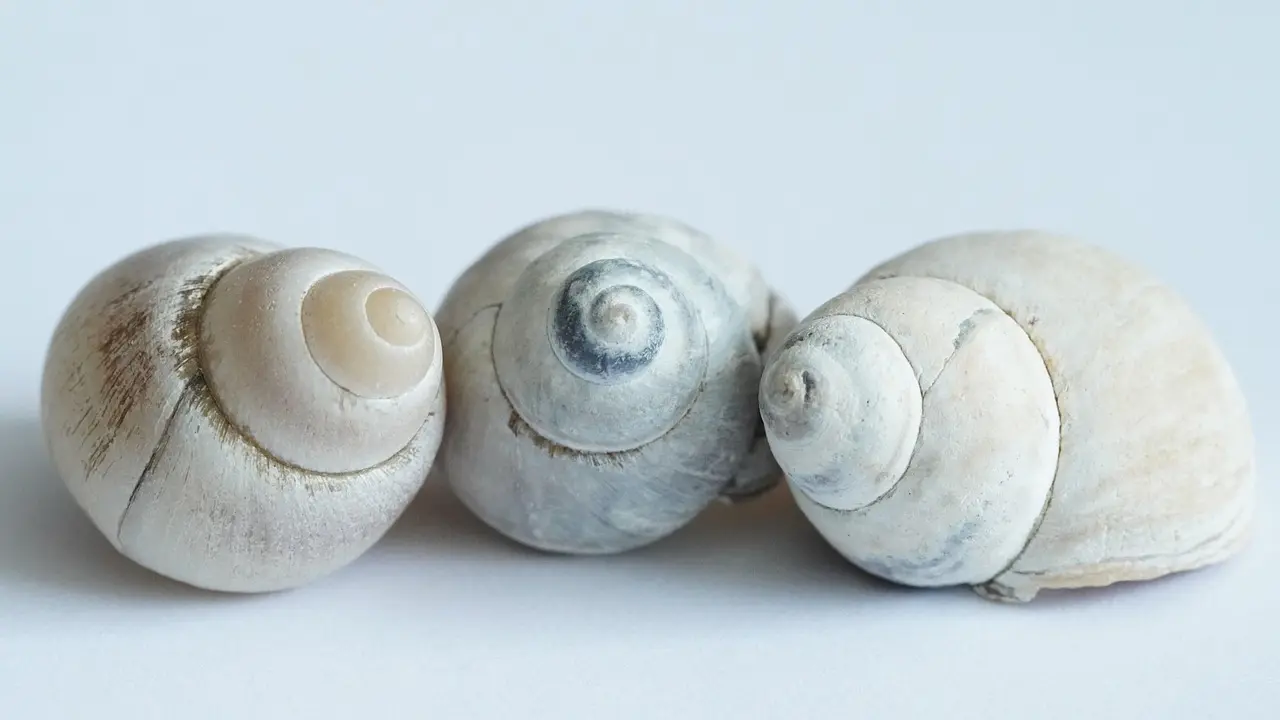 Skal danskere udfylde I-94 ved indrejse til USA fra Mexico?