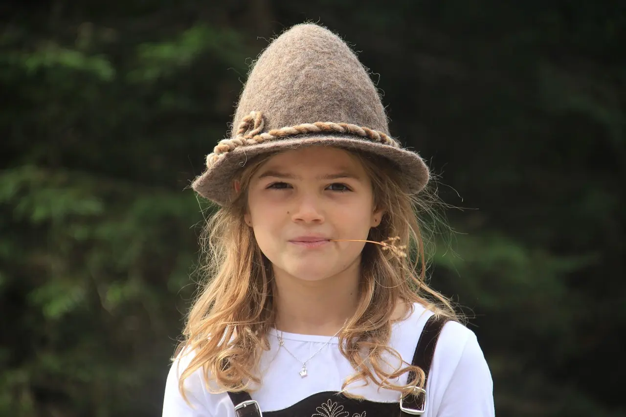 Skal jeg købe vignet til de østrigske motorveje i 2025?