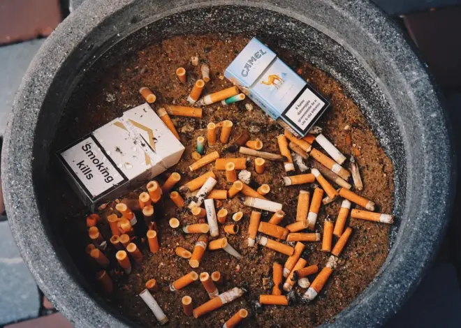 Skal min hund have et Animal Health Certificate for at rejse til Storbritannien?