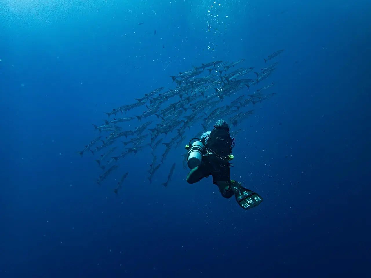 Snorkling i Nouméa-lagunen: bedste adgangspunkter